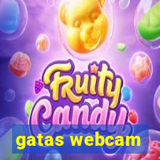 gatas webcam